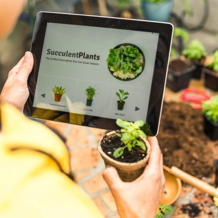10 Smarte Umweltideen für den Smart City Wettbewerb